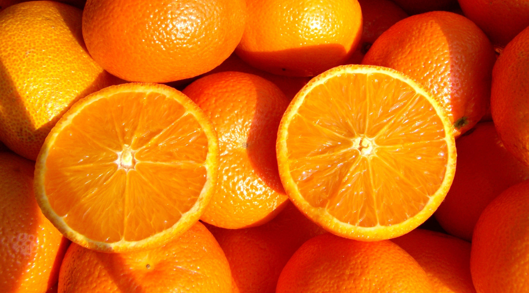 Hvordan Opbevarer Man Friske Appelsiner?
