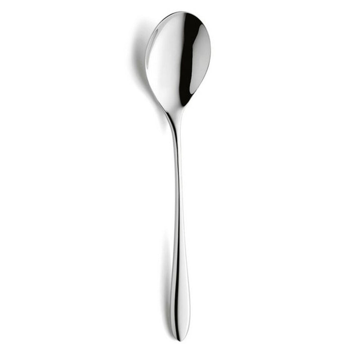 Set of spoons Amefa Cuba Metal 21.6 cm 12 units