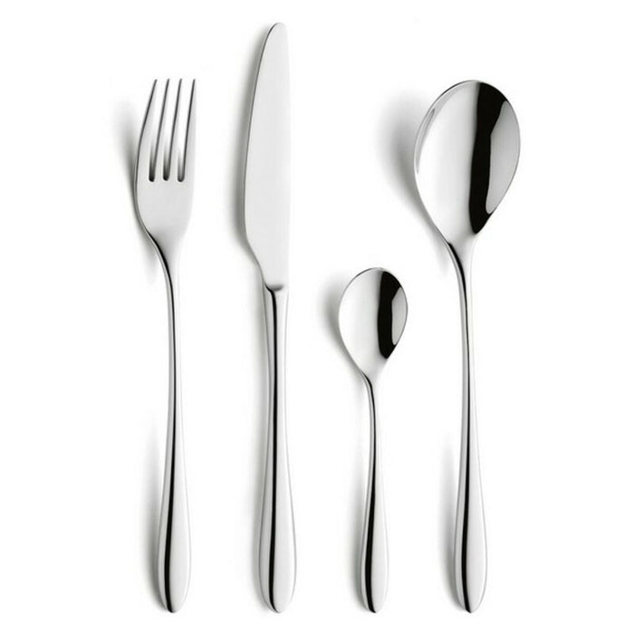 Set of spoons Amefa Cuba Metal 21.6 cm 12 units