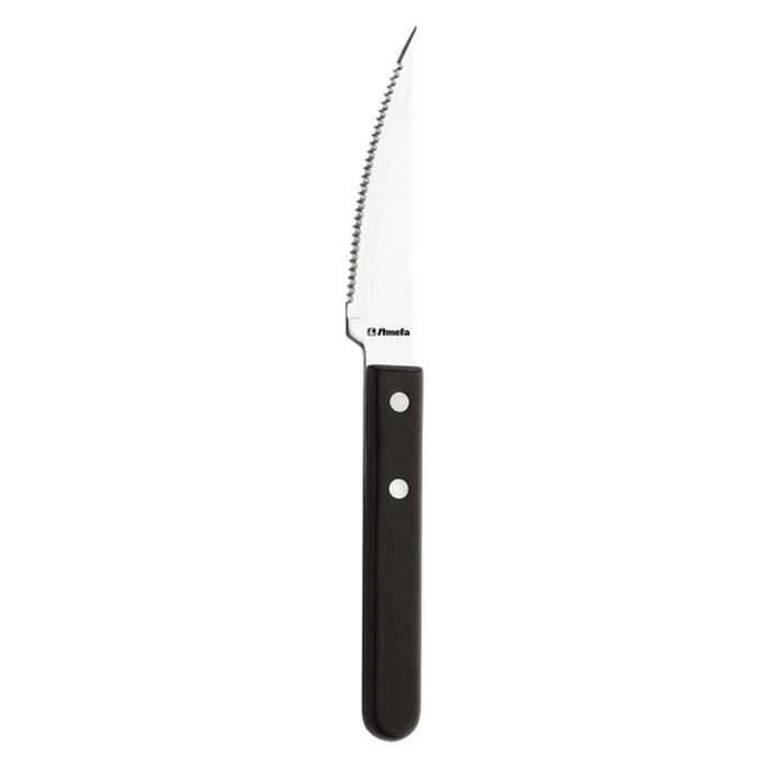 Knife set Amefa Saw Metal Stainless steel 12 units (21.2 cm)