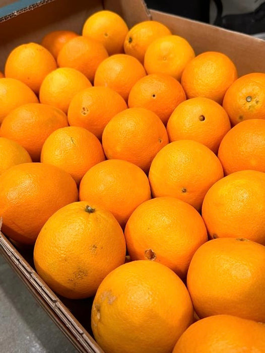 Appelsiner Navelina (Cal. 3-4) 15kg